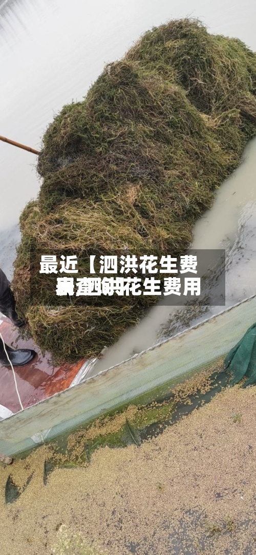 最近【泗洪花生费用
表,泗洪花生费用
表查询】-第2张图片