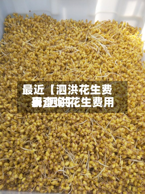 最近【泗洪花生费用表,泗洪花生费用表查询】