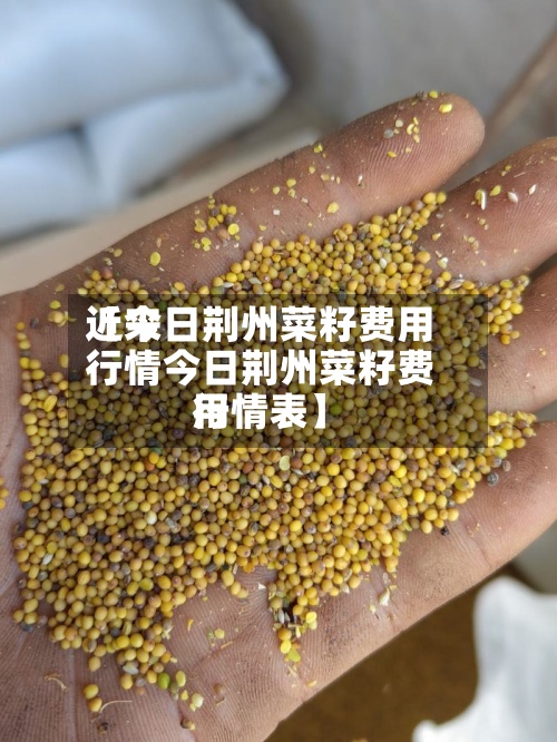 近来【今日荆州菜籽费用行情今日荆州菜籽费用行情表】