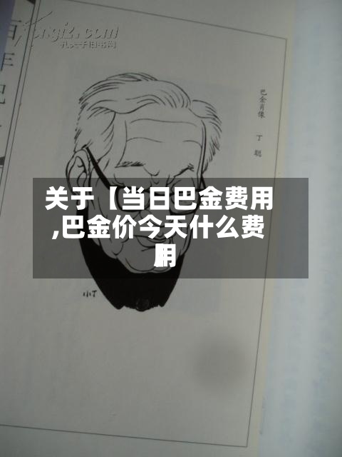 关于【当日巴金费用
,巴金价今天什么费用
】