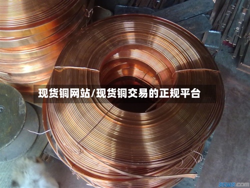 现货铜网站/现货铜交易的正规平台-第3张图片