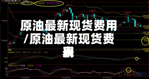 原油最新现货费用
/原油最新现货费用
表-第3张图片