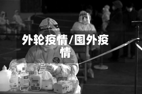 外轮疫情/囤外疫情