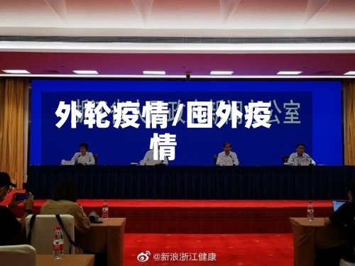 外轮疫情/囤外疫情-第2张图片