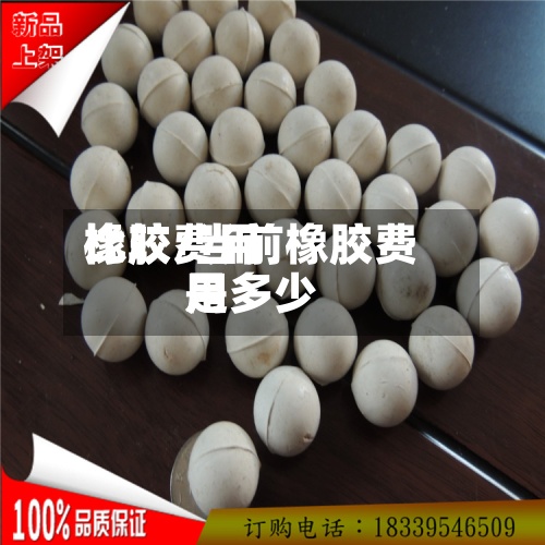 橡胶费用
比较/当前橡胶费用
是多少