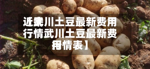 近来
【武川土豆最新费用
行情武川土豆最新费用
行情表】-第2张图片
