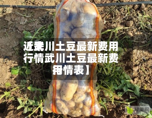 近来
【武川土豆最新费用
行情武川土豆最新费用
行情表】-第3张图片