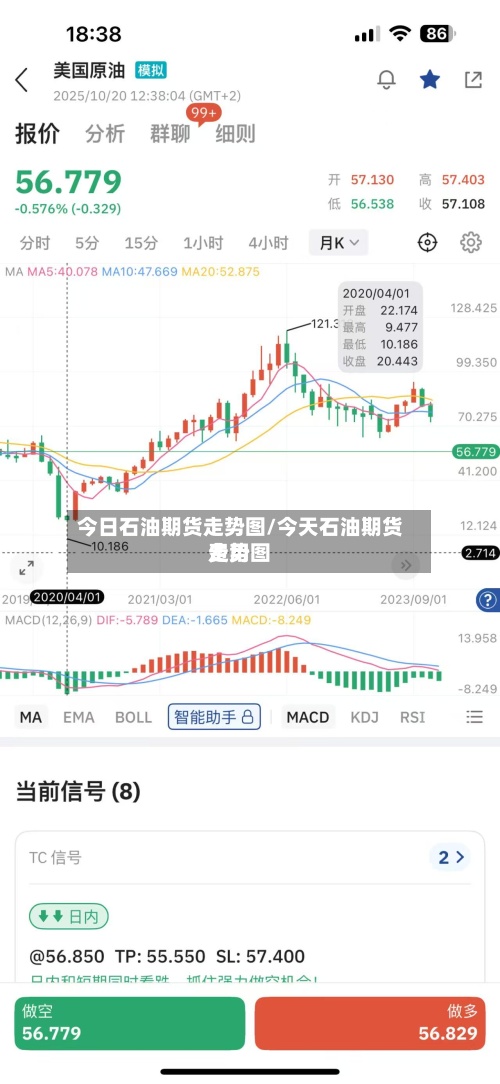 今日石油期货走势图/今天石油期货费用走势图
