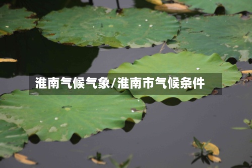 淮南气候气象/淮南市气候条件-第2张图片