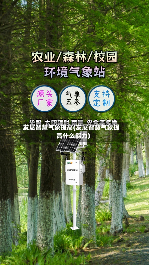 发展智慧气象提高(发展智慧气象提高什么能力)