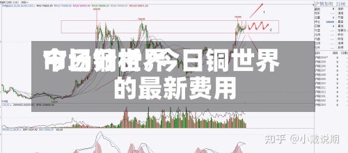 今日铜世界
市场分析/今日铜世界
的最新费用