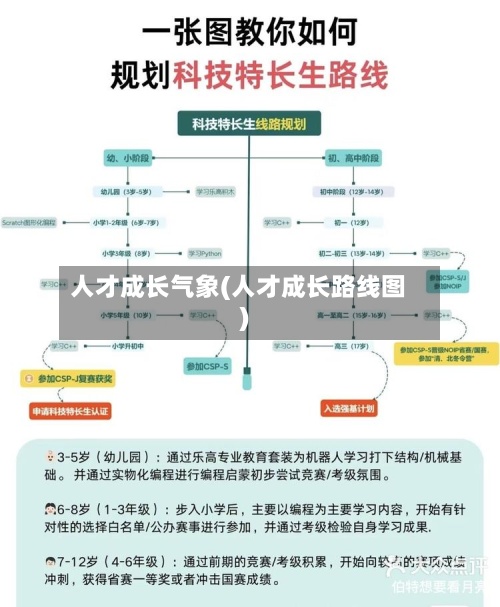 人才成长气象(人才成长路线图)