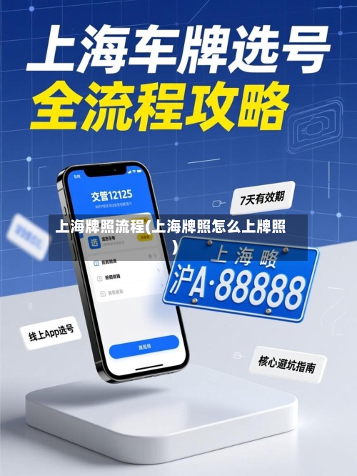 上海牌照流程(上海牌照怎么上牌照)