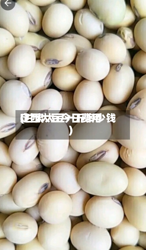 定西大豆今日费用
(甘肃大豆一斤多少钱)