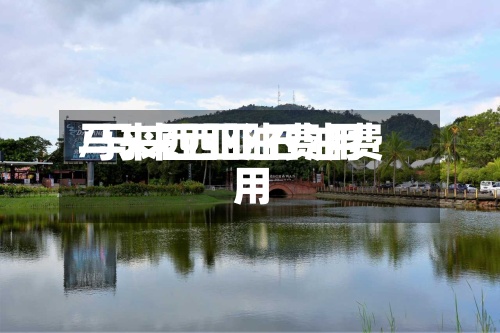 马来西亚油费用
/马来西亚石油费用
-第2张图片