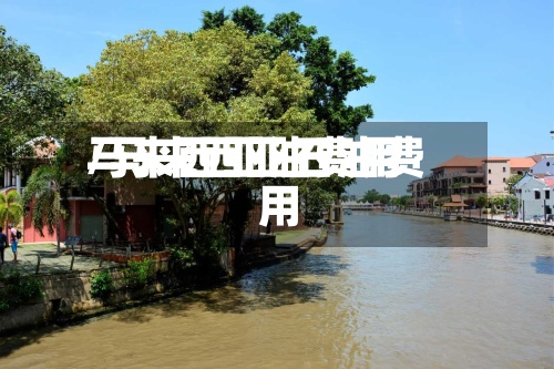 马来西亚油费用/马来西亚石油费用