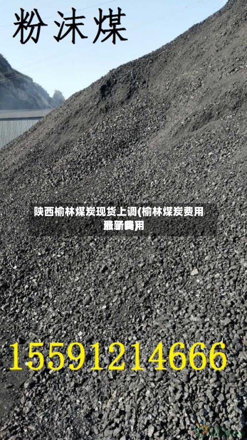 陕西榆林煤炭现货上调(榆林煤炭费用
最新费用
涨了吗)-第3张图片