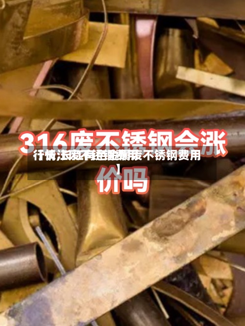 【长江废不锈钢费用
行情,长江有色金属废不锈钢费用
】-第2张图片
