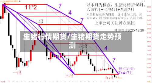 生猪行情期货/生猪期货走势预测