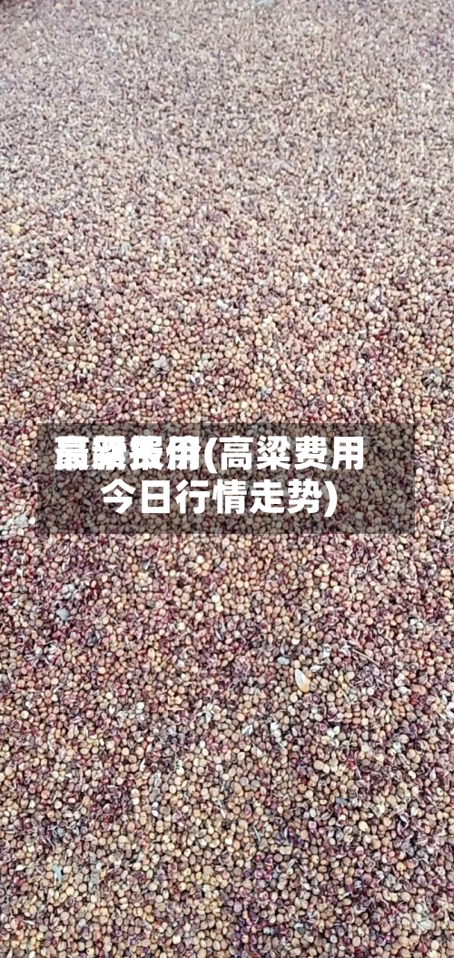 高粱费用
最新报价(高粱费用
今日行情走势)