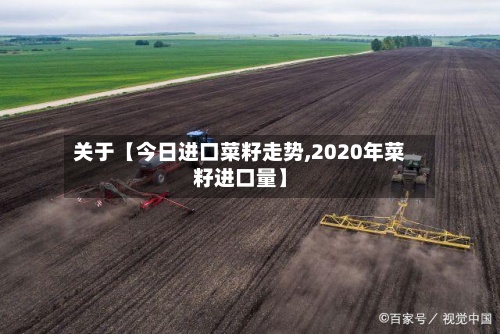 关于【今日进口菜籽走势,2020年菜籽进口量】