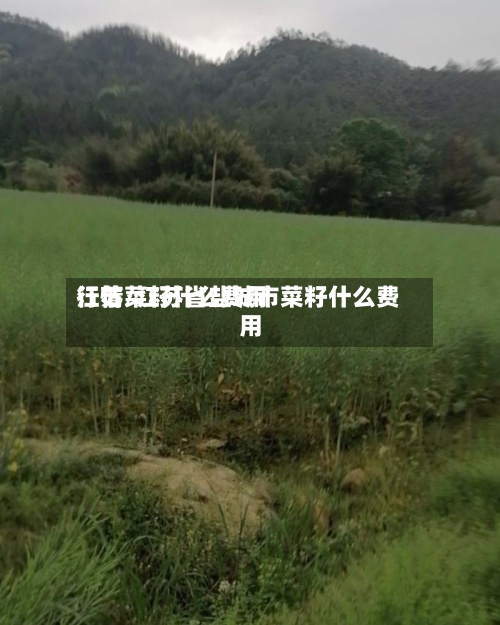 江苏菜籽什么费用
行情/江苏省盐城市菜籽什么费用
-第2张图片