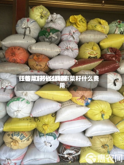 江苏菜籽什么费用
行情/江苏省盐城市菜籽什么费用
-第3张图片