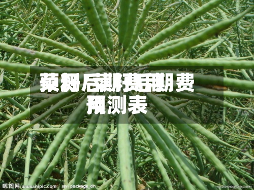 菜籽后期费用
预测/菜籽后期费用
预测表-第3张图片