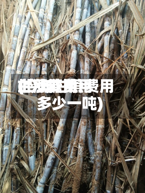 甘蔗费用
上涨糖费用
(今年甘蔗费用
多少一吨)