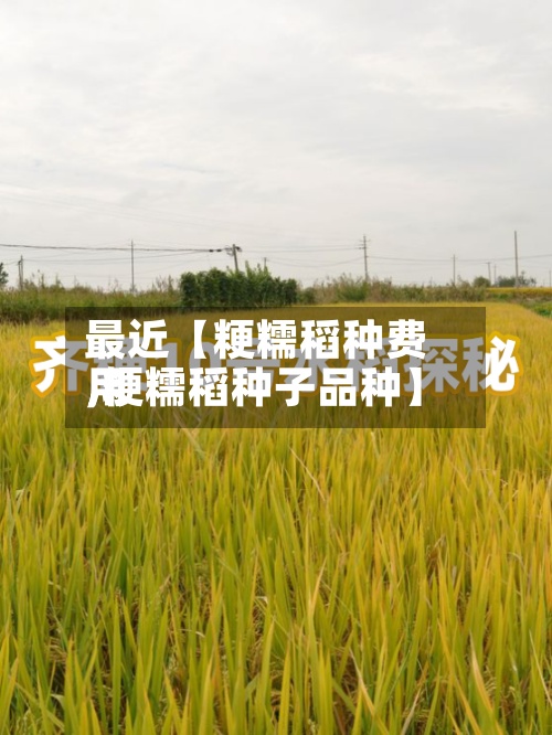 最近【粳糯稻种费用
,粳糯稻种子品种】