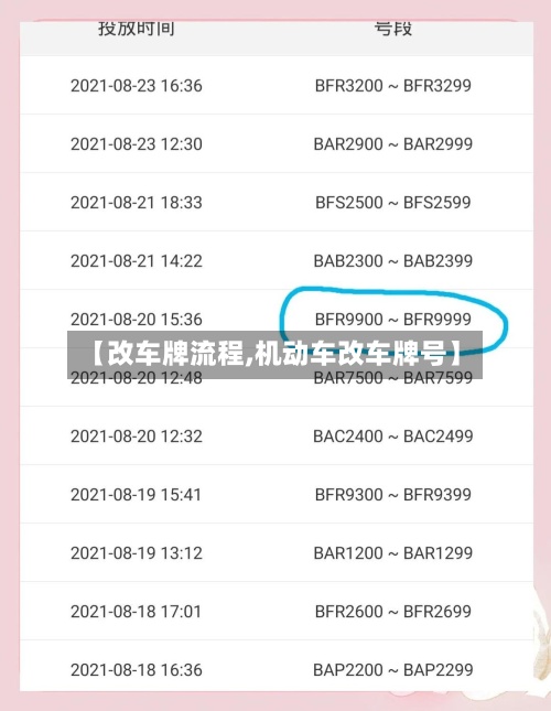 【改车牌流程,机动车改车牌号】-第3张图片