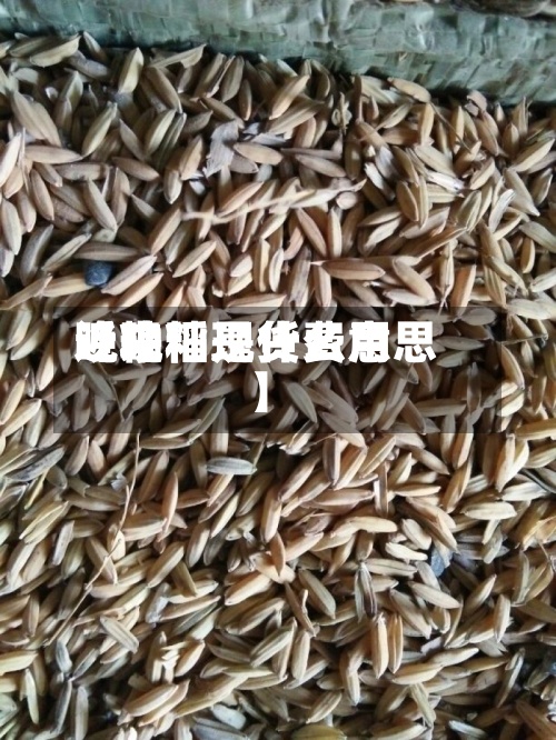 近来【晚籼现货费用晚籼稻是什么意思】