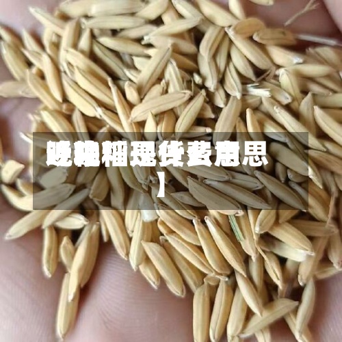 近来【晚籼现货费用晚籼稻是什么意思】-第3张图片