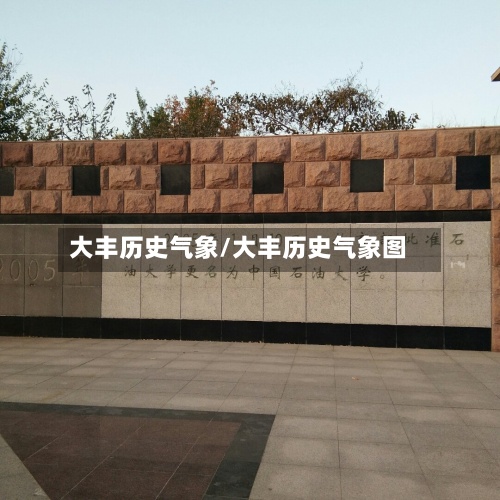 大丰历史气象/大丰历史气象图-第3张图片