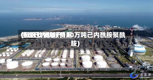 恒逸己内酰胺费用(恒逸钦州年产120万吨己内酰胺聚酰胺)-第3张图片