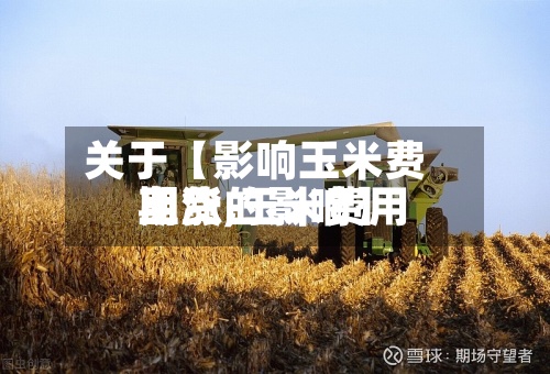 关于【影响玉米费用期货,玉米费用上涨的影响】-第2张图片