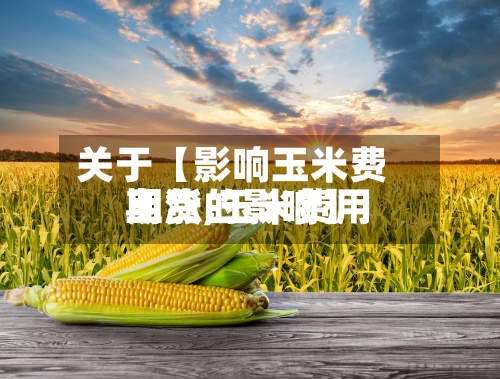 关于【影响玉米费用期货,玉米费用上涨的影响】-第3张图片