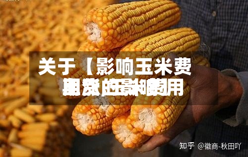 关于【影响玉米费用期货,玉米费用上涨的影响】