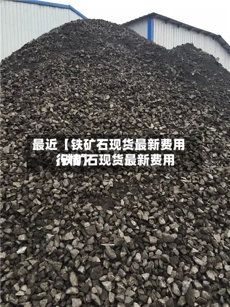 最近【铁矿石现货最新费用
,铁矿石现货最新费用
行情】