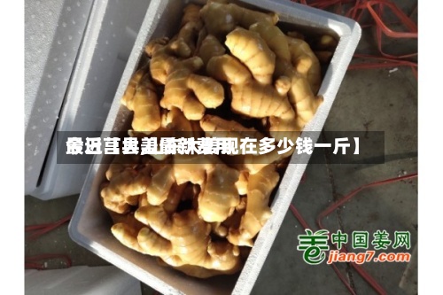 最近【大姜最新费用今日莒县,山东大姜现在多少钱一斤】