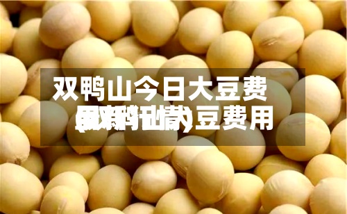 双鸭山今日大豆费用
(双鸭山大豆费用
最新行情)-第3张图片