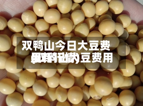 双鸭山今日大豆费用
(双鸭山大豆费用
最新行情)-第2张图片