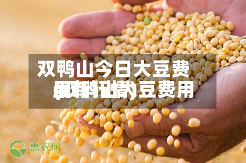 双鸭山今日大豆费用
(双鸭山大豆费用
最新行情)