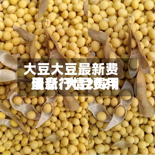 大豆大豆最新费用
消息/大豆费用
最新行情2021