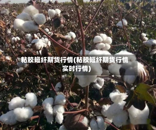 粘胶短纤期货行情(粘胶短纤期货行情实时行情)-第2张图片