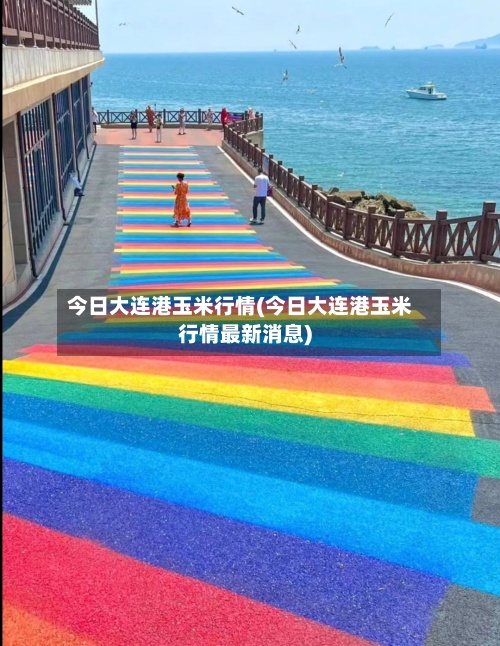 今日大连港玉米行情(今日大连港玉米行情最新消息)