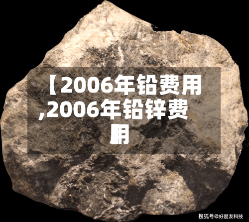 【2006年铅费用
,2006年铅锌费用
】