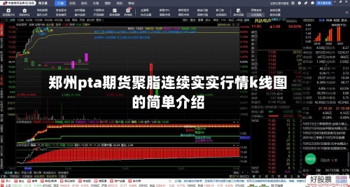郑州pta期货聚脂连续实实行情k线图的简单介绍