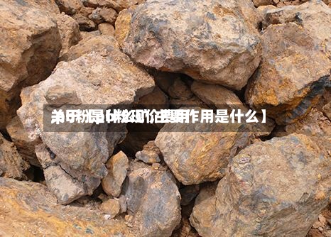 关于【pb粉现价费用
,pb粉是什么矿,主要作用是什么】-第3张图片