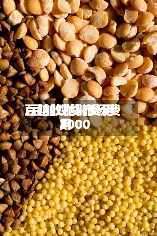 豆粕收抛储费用
/豆粕现货市场费用
2000-第3张图片